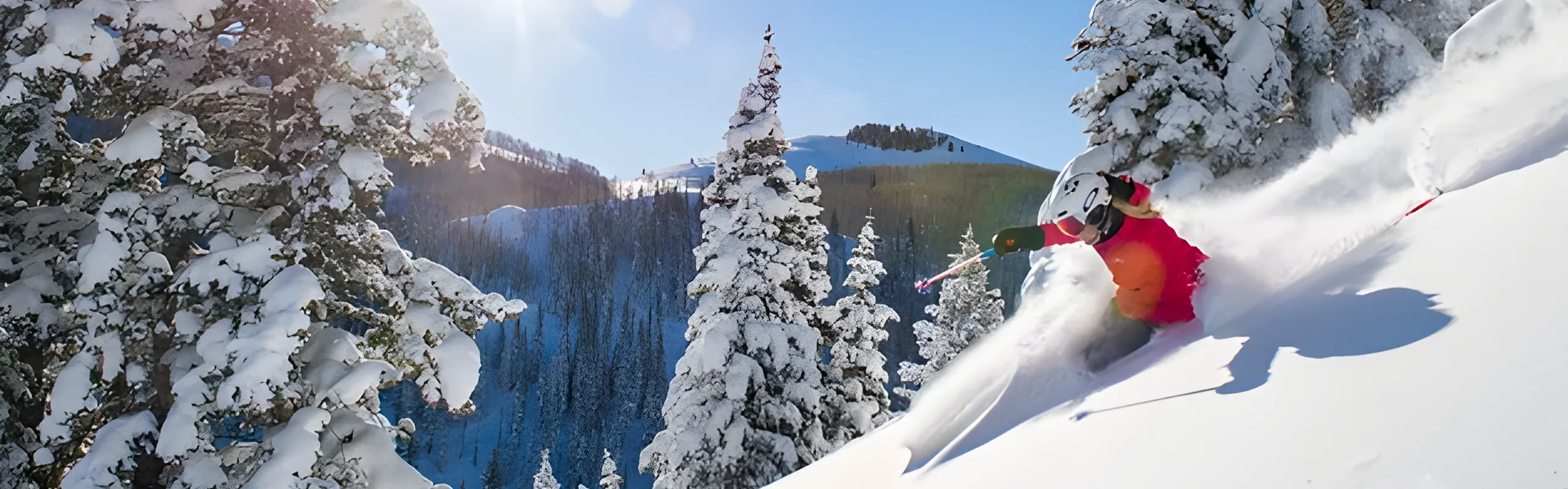 skier skiing on a slope